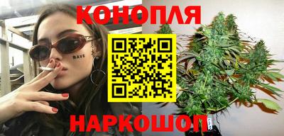сатива Краснодар