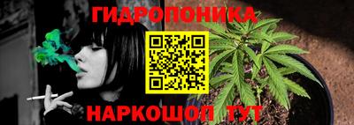 сатива Краснодар