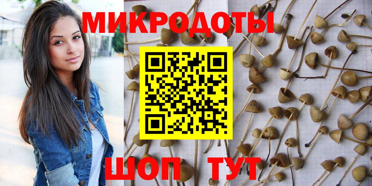 Псилоцибиновые грибы Cubensis  Вход с VPN  Касимов  Псилоцибиновые грибы Magic Shrooms 