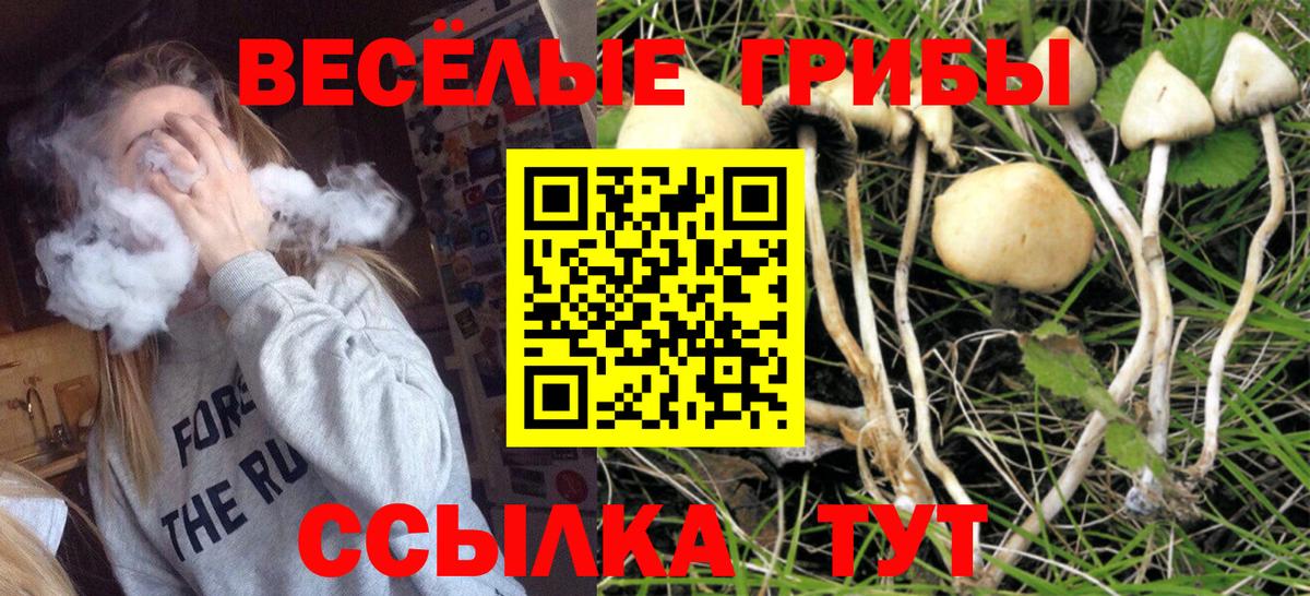 Псилоцибиновые грибы ЛСД Касимов